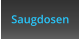 Saugdosen